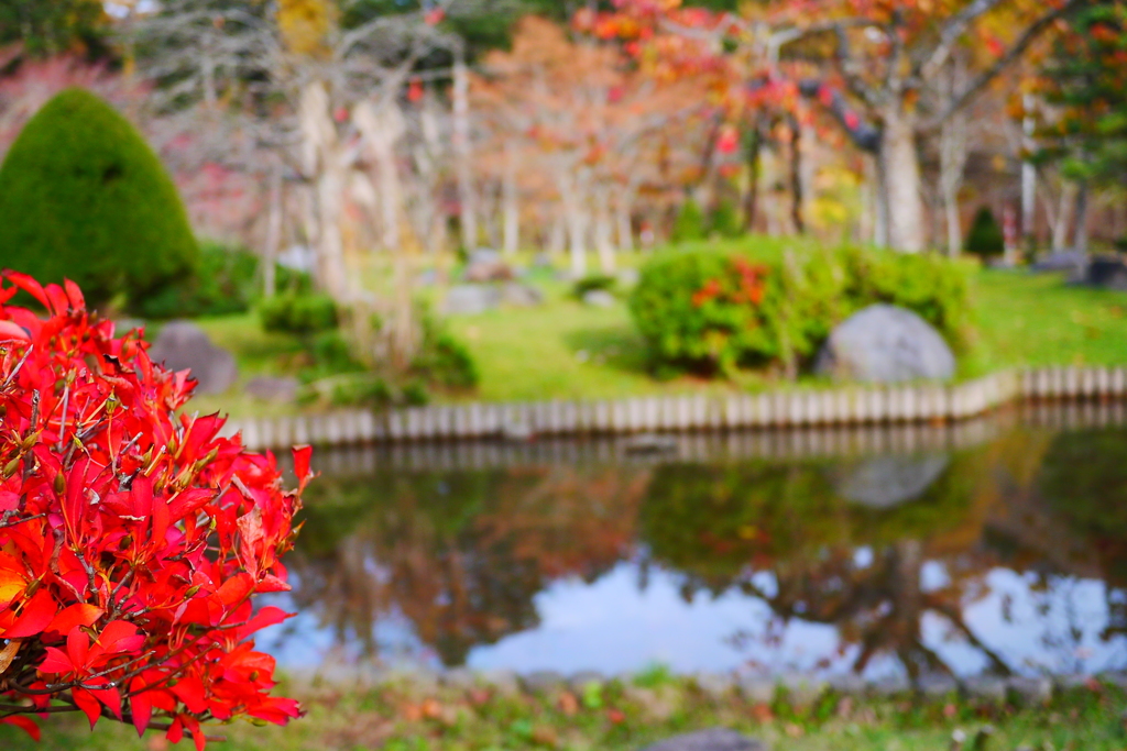 2013.11.9 道南の紅葉(13)
