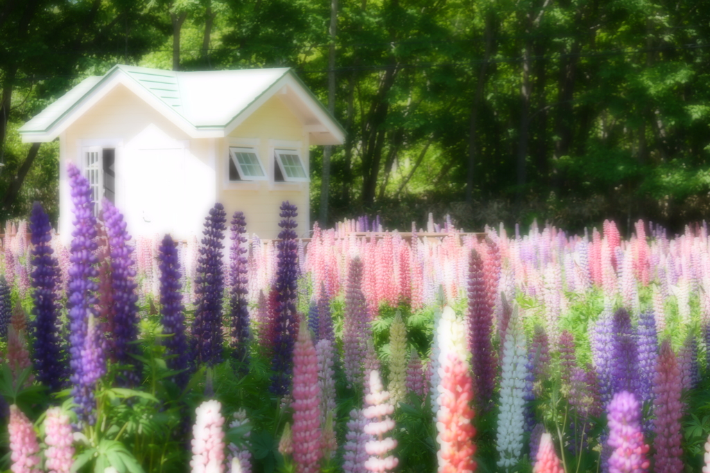 色彩溢れる光景　２