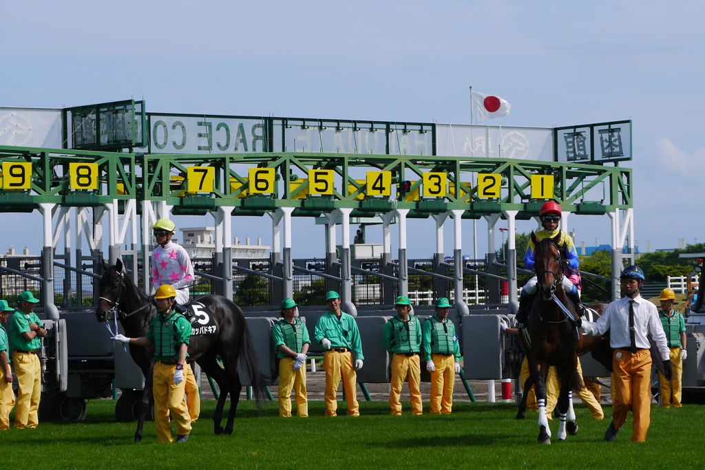 2014.06.28 JRA(10)