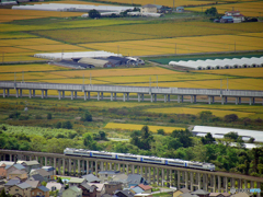 2015.09.20 稲穂の大地を駆ける