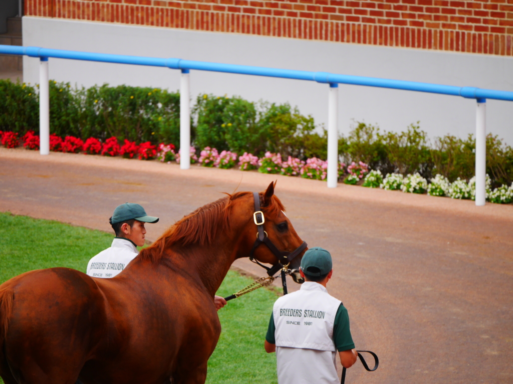 2014.07.19 JRA(17)