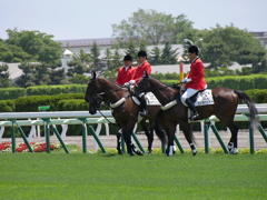 2014.06.28 JRA(8)