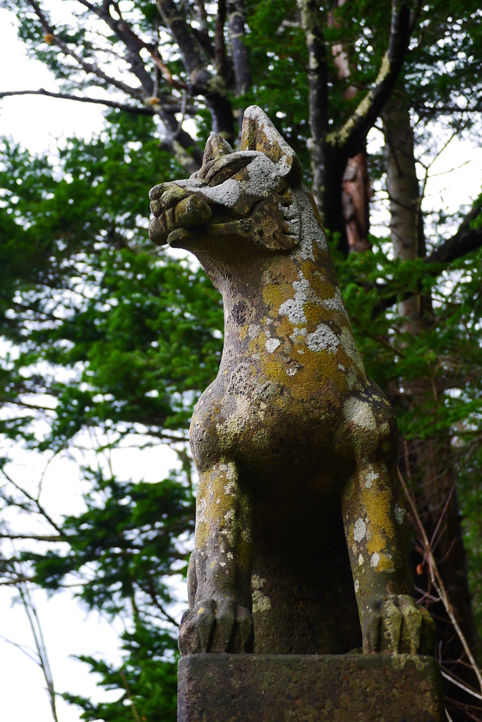 2013.11.23 蕨岱稲荷神社