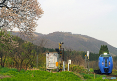 2016.05.03 桜と２８３系