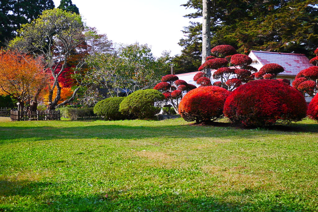 2013.11.4 道南の紅葉(23)