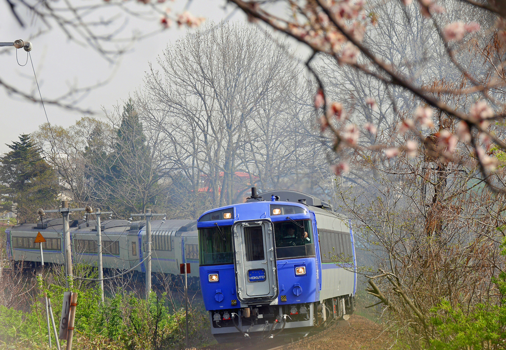 2016.05.03 国鉄型車両