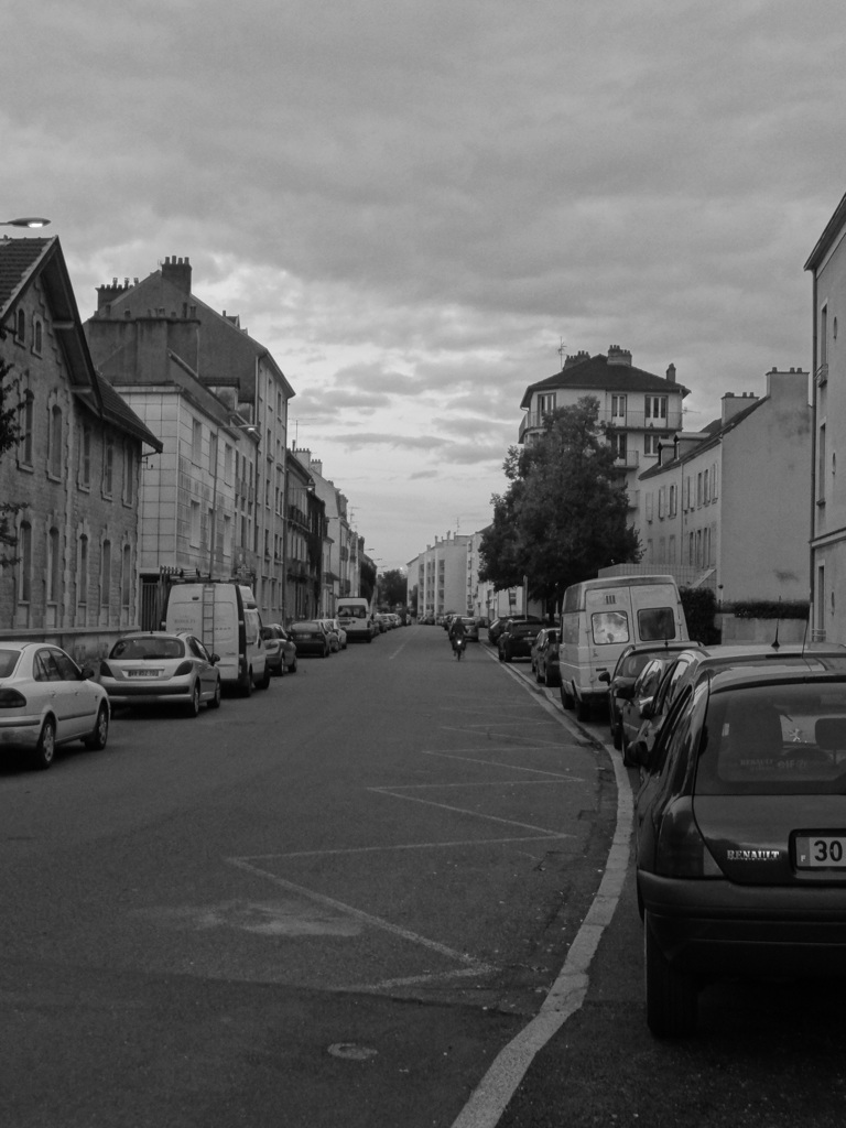 2013 faiblement♪Dijon(41)