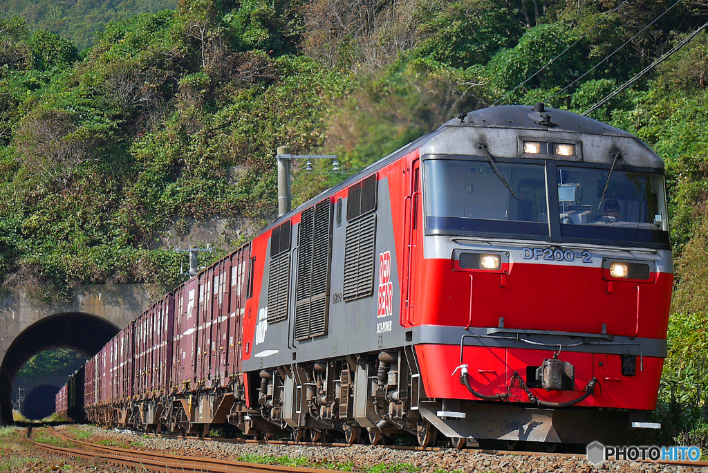 2015.09.21 3091ﾚが抜けてきた！