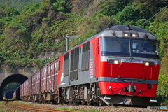 2015.09.21 3091ﾚが抜けてきた！