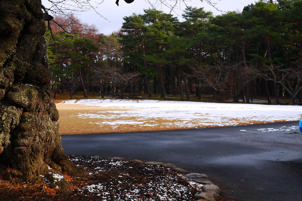 2013.12.23 道南冬景(2)