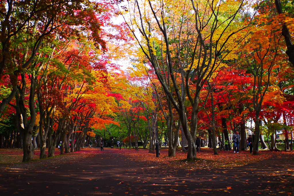 2013.11.4 道南の紅葉(1)