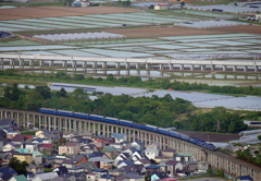 2015.06.02 今朝の8007ﾚ：水田を背景に♪