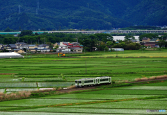 2017.06.03 今こそ仙台へ(19)：石巻の田園を走る