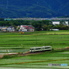 2017.06.03 今こそ仙台へ(19)：石巻の田園を走る