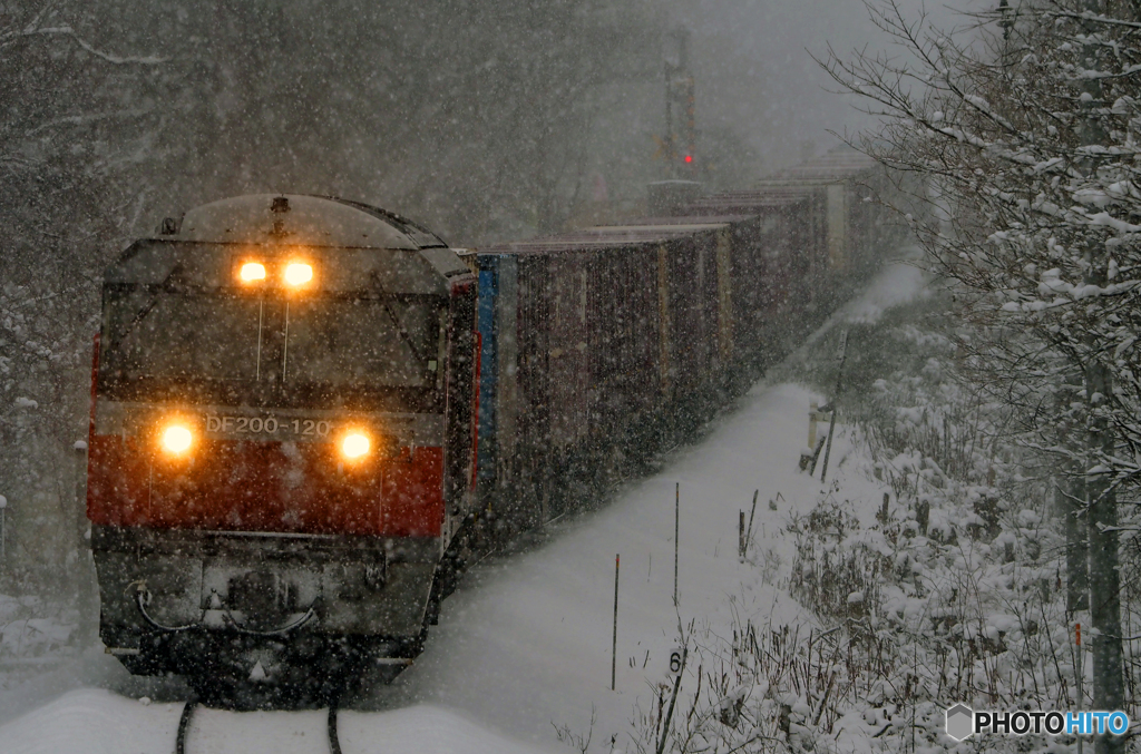 2015.12.05 雪・降り止まぬ中