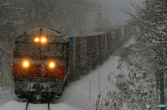 2015.12.05 雪・降り止まぬ中