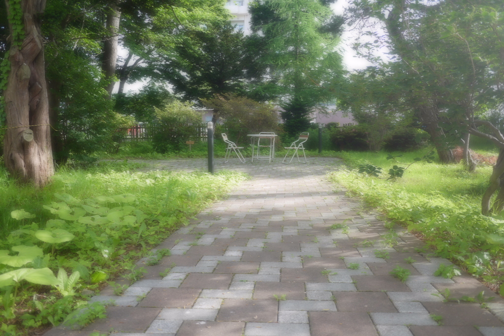 2014.06.21 １４日ぶりの晴れ間(4)