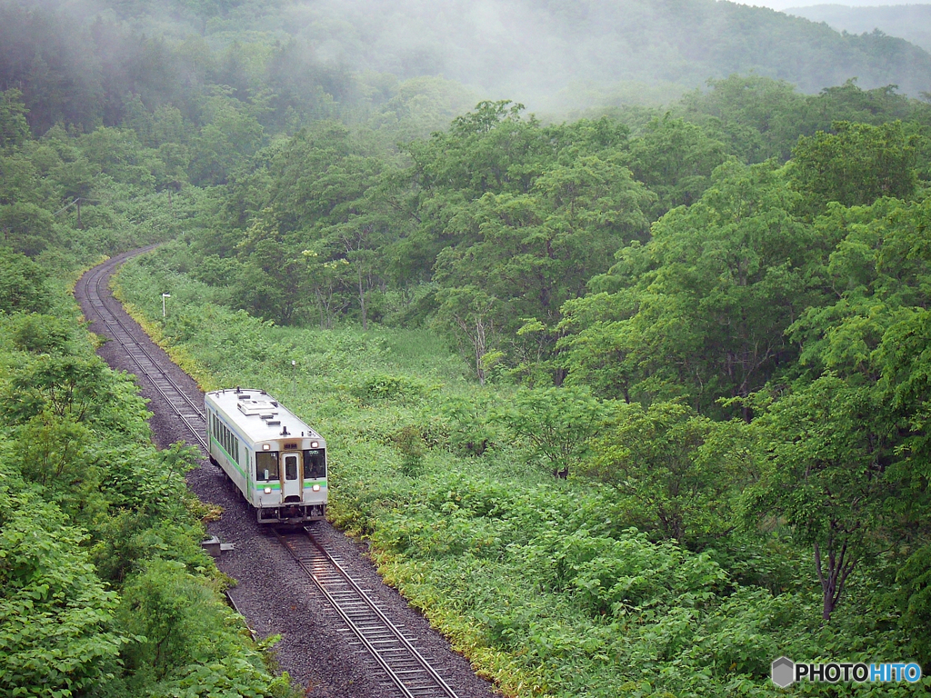 2015.06.27 原始の森を往く
