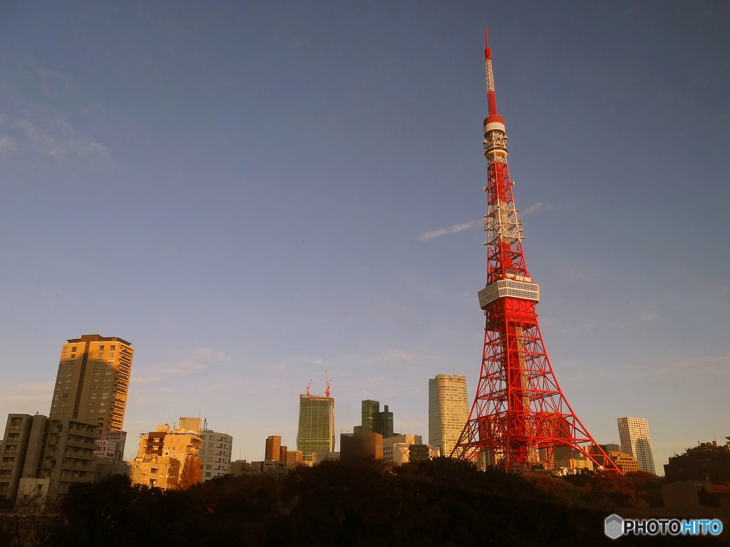2015.11.28-29 Tokyo Travel(1)