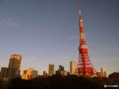 2015.11.28-29 Tokyo Travel(1)