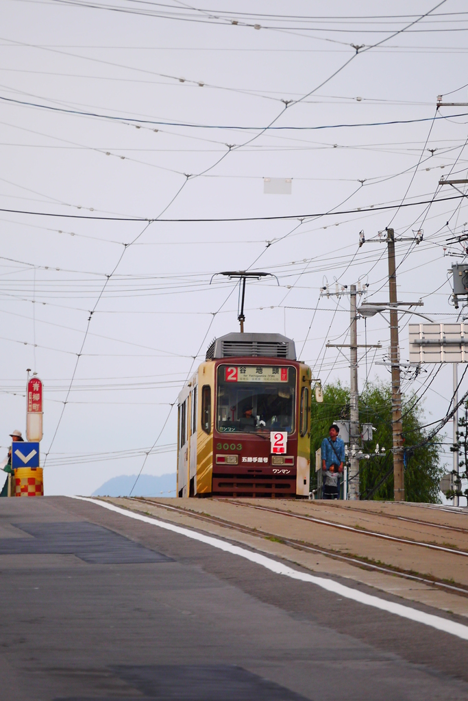 路面電車を追いかけて part 2　（８）