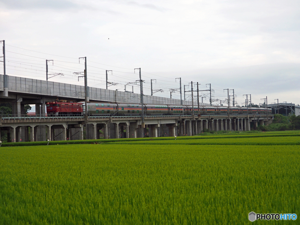 2015.08.07 今朝の8009ﾚ：終焉に向かって。。。