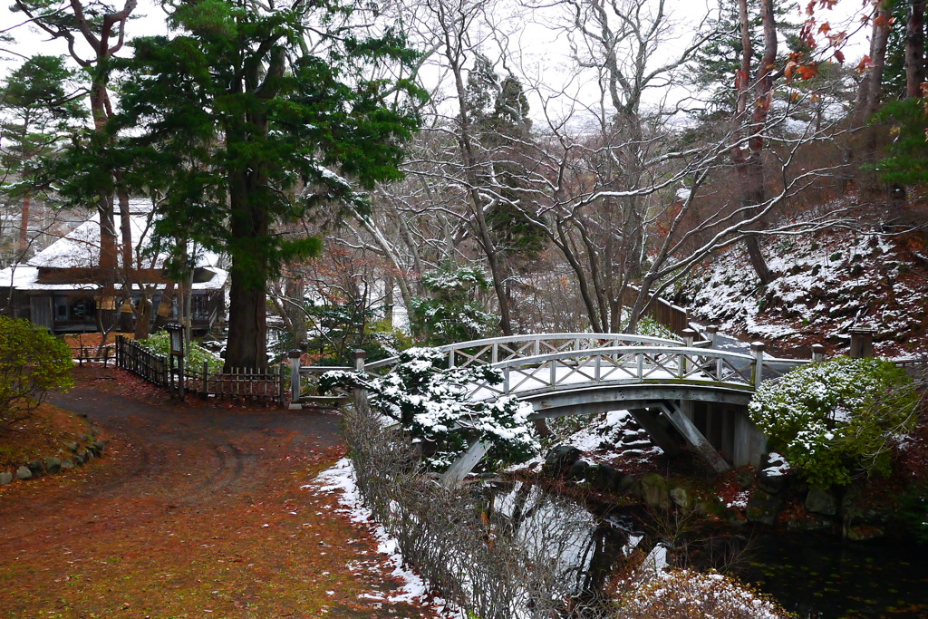 2013.11.30秋の終わり(4)
