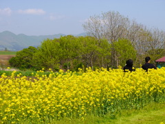 2014.05.25 ラン・ラン・ラン♪