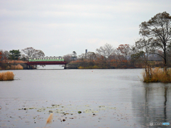 2015.10.31 湖畔を駆ける