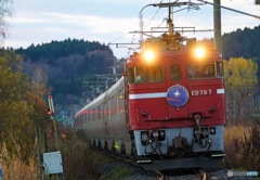 2015.11.11 今朝の8009ﾚ：夜明けとともに！