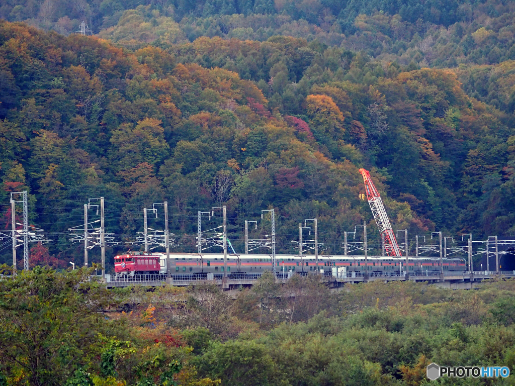2015.10.10 昨日の8009ﾚ：朝陽の中、北海道上陸♪
