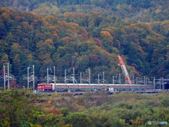 2015.10.10 昨日の8009ﾚ：朝陽の中、北海道上陸♪