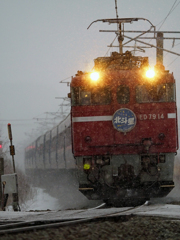 2015.02.25 小雪舞う中♪