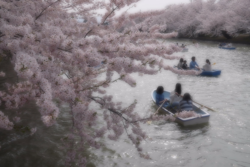 2014.04.27 弘前さくらまつり日帰りツアー(10)