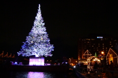 2013.12.7 はこだてクリスマスファンタジー(2)
