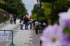 2014.06.22 元町散歩(5)