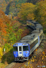 2016.10.30 颯爽・１８３系