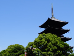 2014.06.01 そうだ 京都、行こう(46)