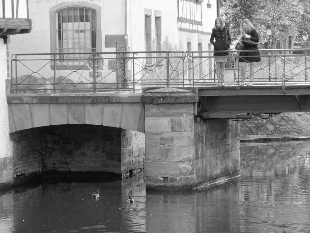 retourner voir Strasbourg(51)