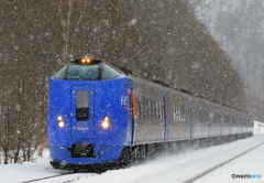 2017.02.12 雪列車
