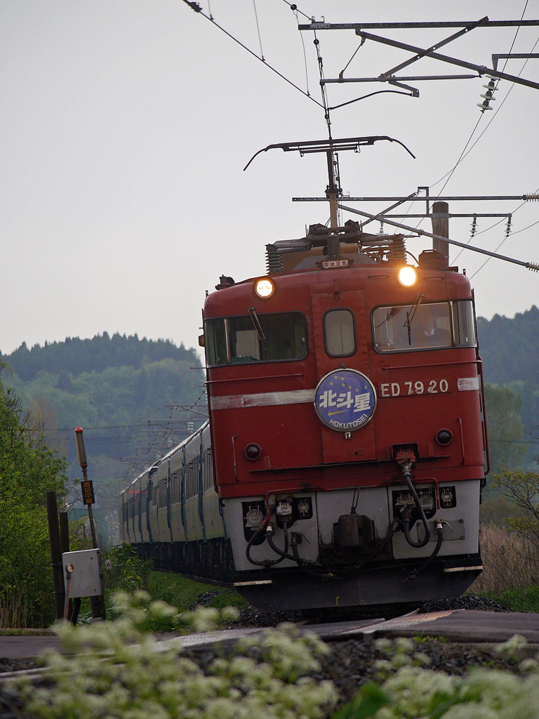 2015.05.22 今朝の8007ﾚ：春の盛りを往く♪
