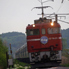 2015.05.22 今朝の8007ﾚ：春の盛りを往く♪