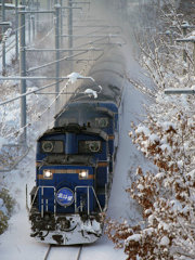 2015.02.11 函館本線で北斗星と２度目の遭遇ぅぅぅ♪