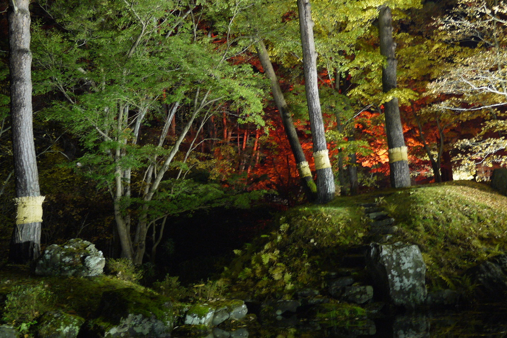 2013.11.4 道南の紅葉(26)