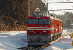 2016.02.28 甲種輸送：ＥＨ８００形１６号機(2)