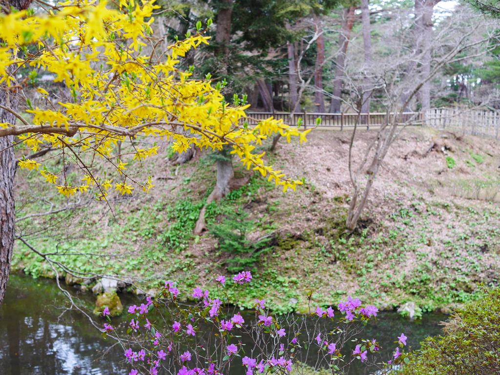 2014.05.05 道南・春爛漫(1)