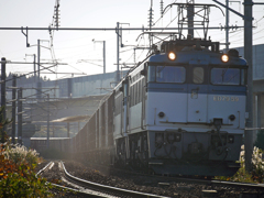 2014.10.18 今は無き青白ＥＤ７9：夕暮れの逆光の中を