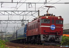 2015.08.08 今朝の8007ﾚ：颯爽と！