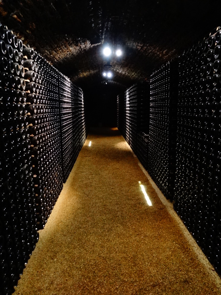 2013 Laplanche cave 『Pommard』(5)