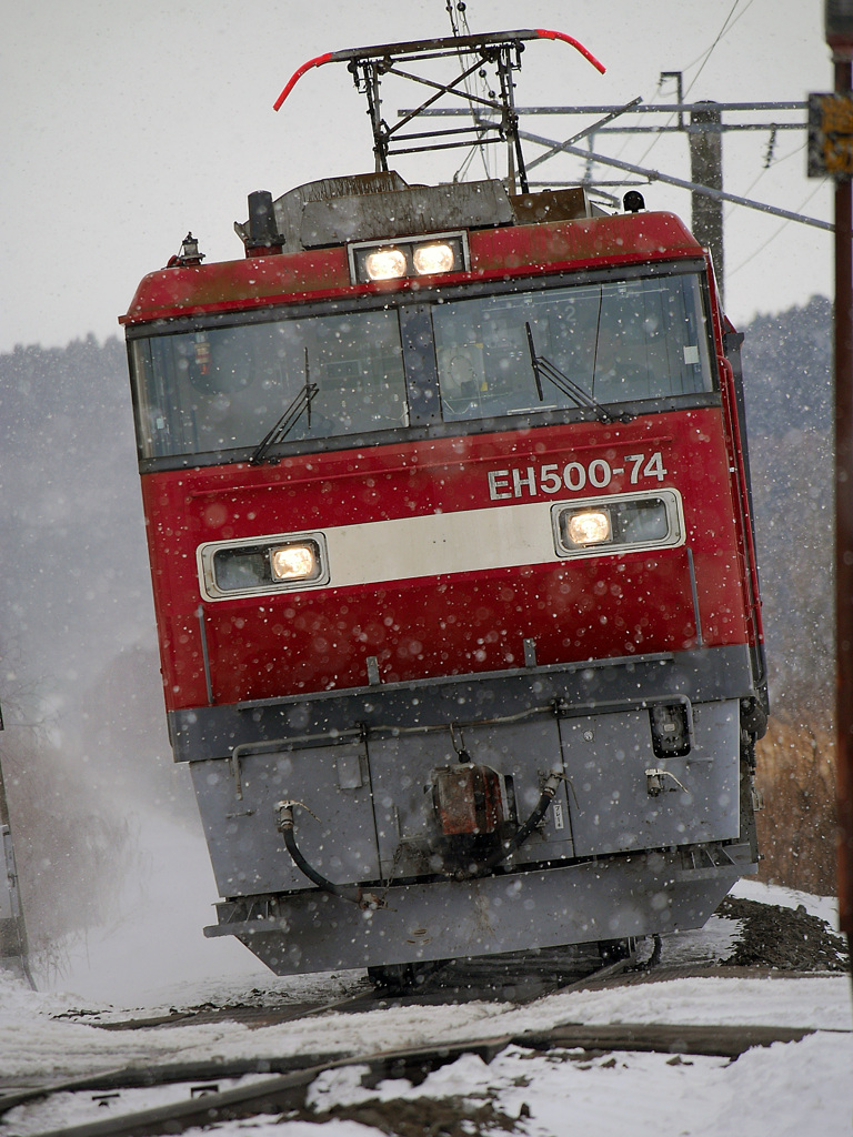 2015.01.10 風雪に耐えて